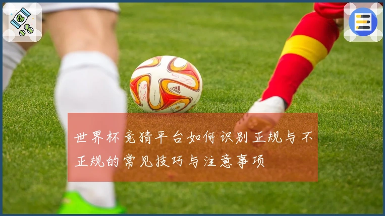 世界杯竞猜平台如何识别正规与不正规的常见技巧与注意事项