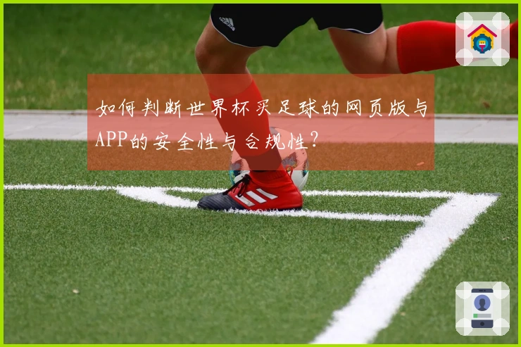 如何判断世界杯买足球的网页版与APP的安全性与合规性?
