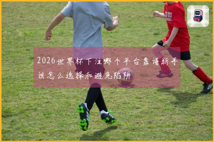 2026世界杯下注哪个平台靠谱新手该怎么选择和避免陷阱