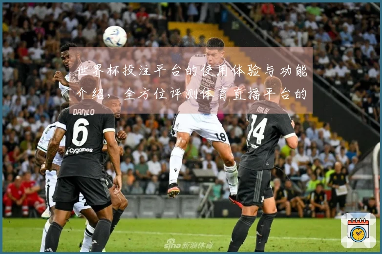 世界杯投注平台的使用体验与功能介绍，全方位评测体育直播平台的便捷性与实用性