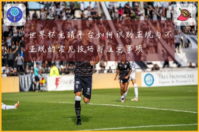 世界杯竞猜平台如何识别正规与不正规的常见技巧与注意事项