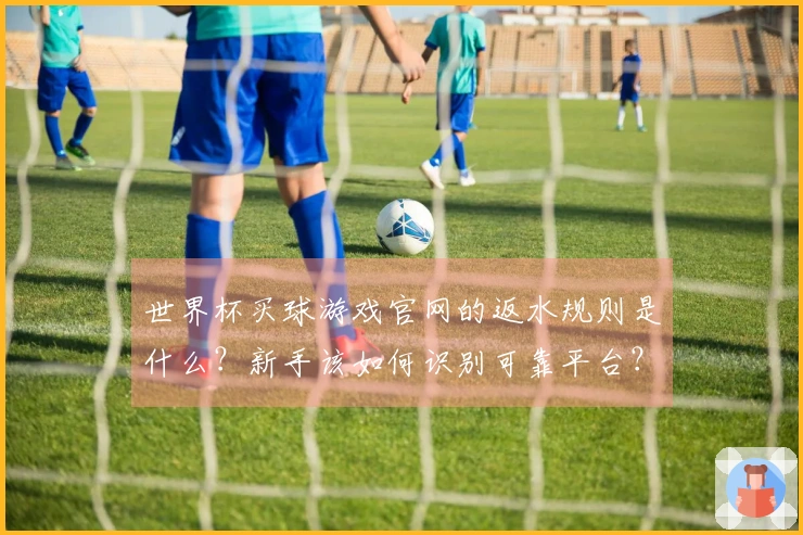 世界杯买球游戏官网的返水规则是什么？新手该如何识别可靠平台？