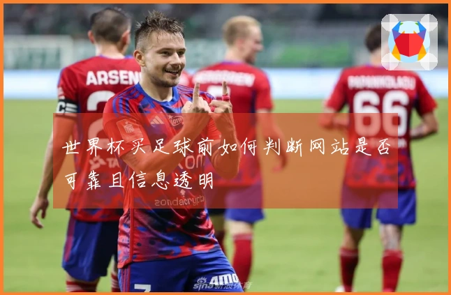 世界杯买足球前如何判断网站是否可靠且信息透明