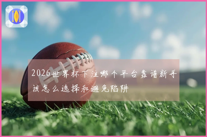 2026世界杯下注哪个平台靠谱新手该怎么选择和避免陷阱