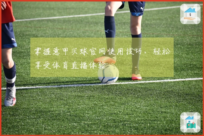 掌握意甲买球官网使用技巧，轻松享受体育直播体验