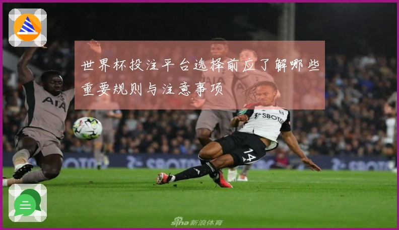 世界杯投注平台选择前应了解哪些重要规则与注意事项